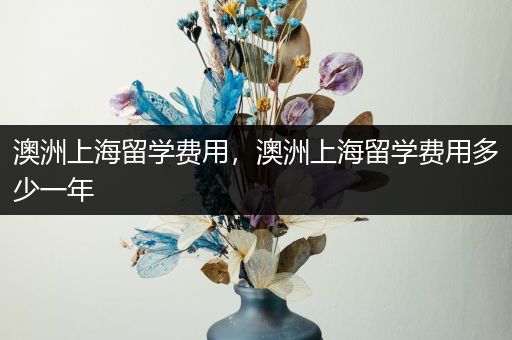 澳洲上海留学费用，澳洲上海留学费用多少一年