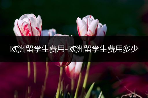 欧洲留学生费用-欧洲留学生费用多少