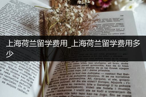 上海荷兰留学费用_上海荷兰留学费用多少