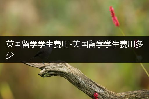 英国留学学生费用-英国留学学生费用多少