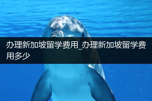 办理新加坡留学费用_办理新加坡留学费用多少
