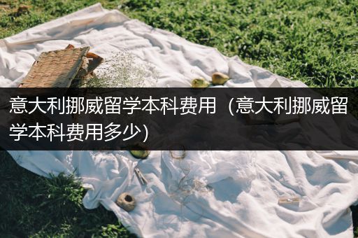 意大利挪威留学本科费用（意大利挪威留学本科费用多少）