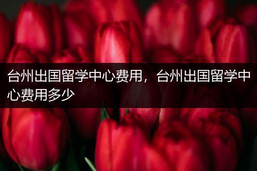 台州出国留学中心费用，台州出国留学中心费用多少