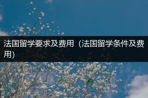 法国留学要求及费用（法国留学条件及费用）