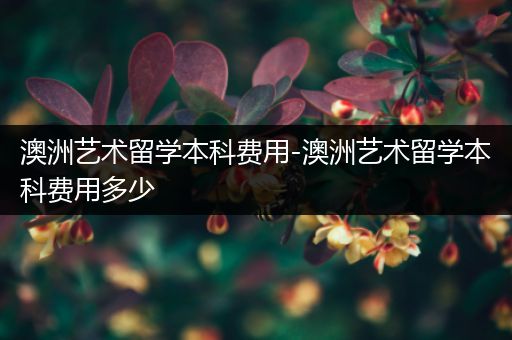 澳洲艺术留学本科费用-澳洲艺术留学本科费用多少
