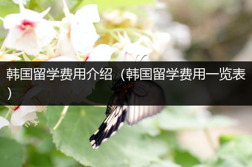 韩国留学费用介绍（韩国留学费用一览表）