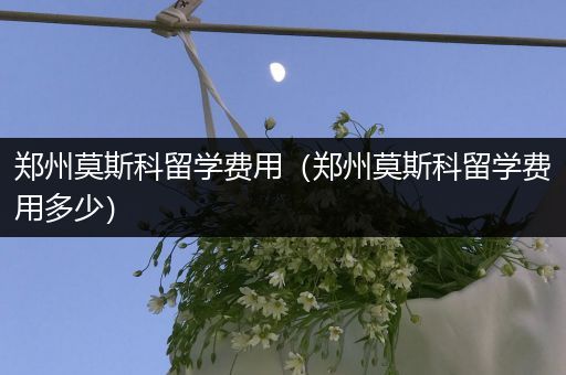 郑州莫斯科留学费用（郑州莫斯科留学费用多少）