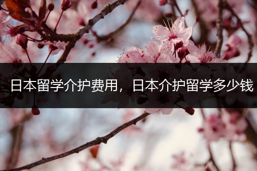 日本留学介护费用，日本介护留学多少钱