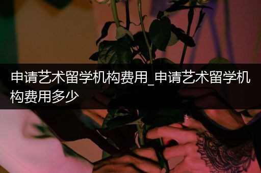 申请艺术留学机构费用_申请艺术留学机构费用多少
