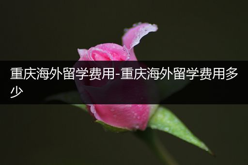 重庆海外留学费用-重庆海外留学费用多少