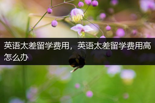 英语太差留学费用，英语太差留学费用高怎么办