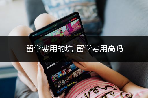 留学费用的坑_留学费用高吗