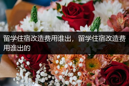 留学住宿改造费用谁出，留学住宿改造费用谁出的