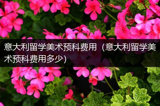 意大利留学美术预科费用（意大利留学美术预科费用多少）