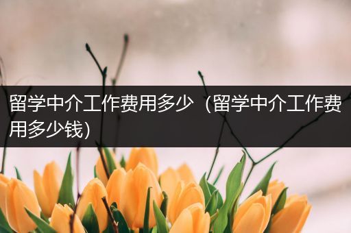 留学中介工作费用多少（留学中介工作费用多少钱）
