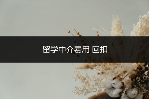 留学中介费用 回扣