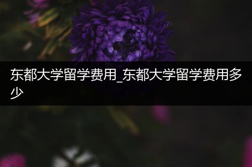 东都大学留学费用_东都大学留学费用多少