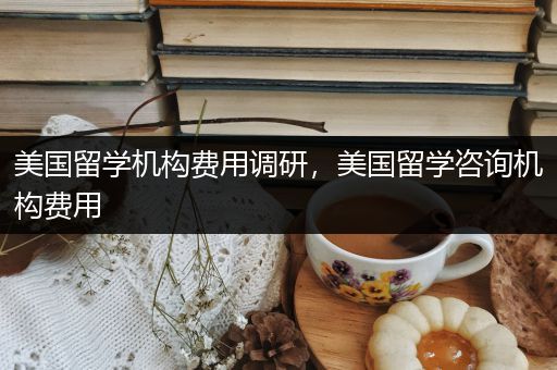 美国留学机构费用调研，美国留学咨询机构费用