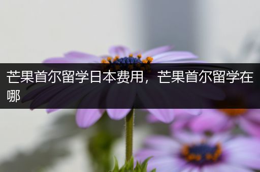 芒果首尔留学日本费用，芒果首尔留学在哪