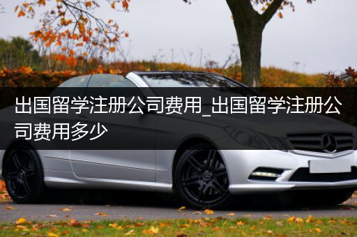 出国留学注册公司费用_出国留学注册公司费用多少
