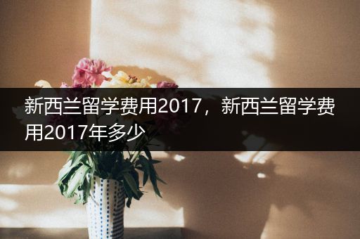 新西兰留学费用2017，新西兰留学费用2017年多少