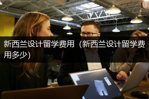 新西兰设计留学费用（新西兰设计留学费用多少）
