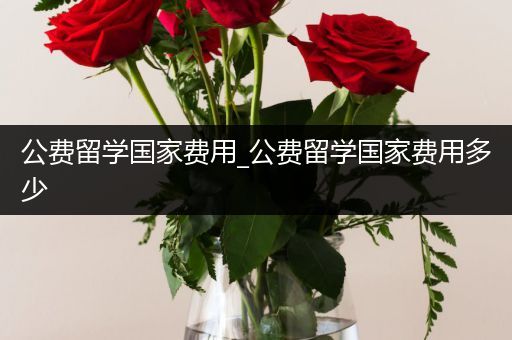 公费留学国家费用_公费留学国家费用多少