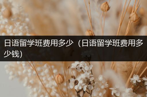 日语留学班费用多少（日语留学班费用多少钱）