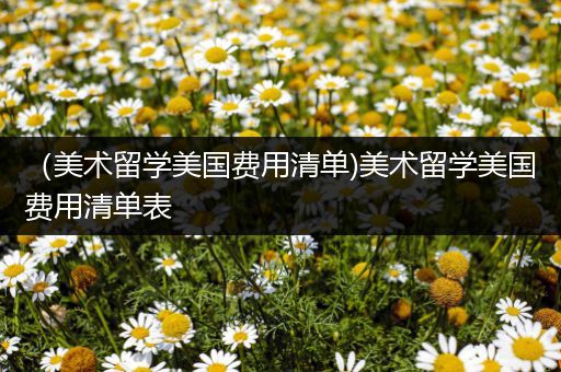 （美术留学美国费用清单)美术留学美国费用清单表