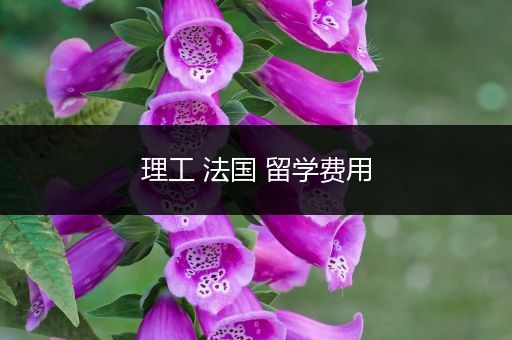 理工 法国 留学费用