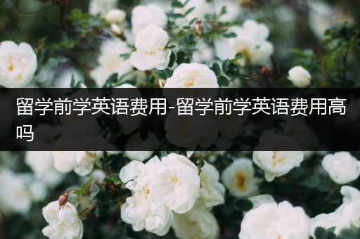 留学前学英语费用-留学前学英语费用高吗