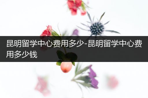 昆明留学中心费用多少-昆明留学中心费用多少钱