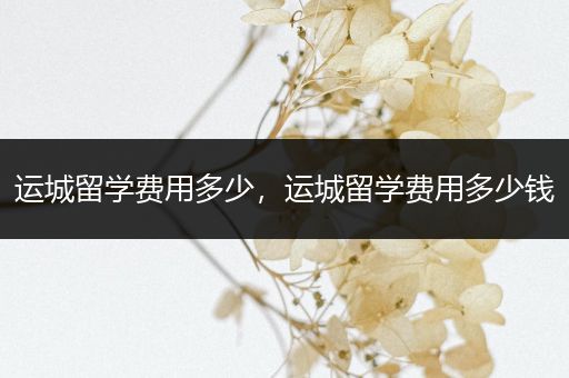 运城留学费用多少，运城留学费用多少钱