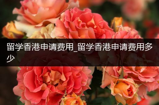 留学香港申请费用_留学香港申请费用多少