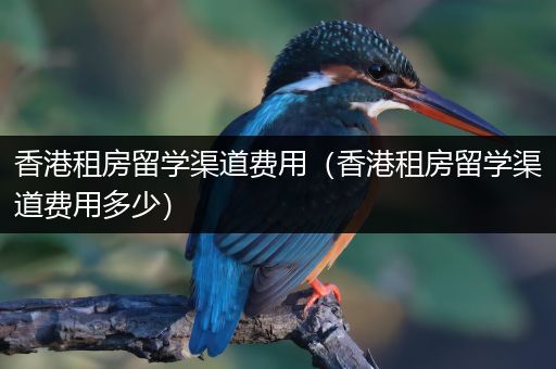香港租房留学渠道费用（香港租房留学渠道费用多少）