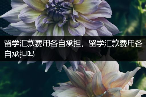 留学汇款费用各自承担，留学汇款费用各自承担吗