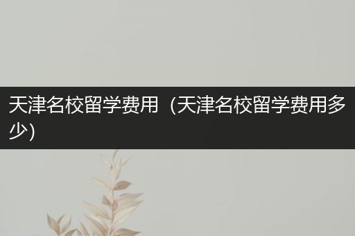 天津名校留学费用（天津名校留学费用多少）
