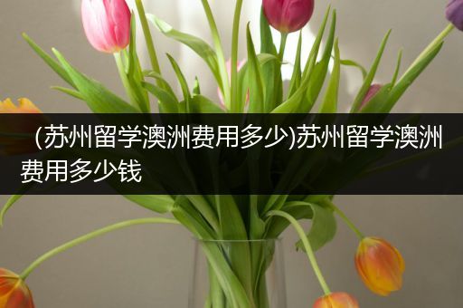 （苏州留学澳洲费用多少)苏州留学澳洲费用多少钱