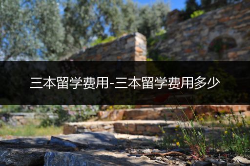 三本留学费用-三本留学费用多少