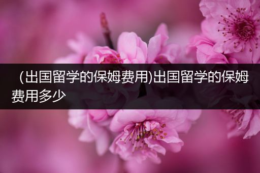 （出国留学的保姆费用)出国留学的保姆费用多少