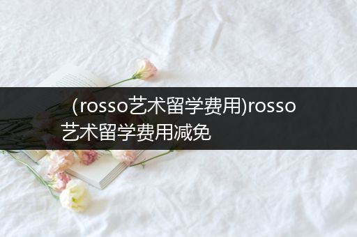 （rosso艺术留学费用)rosso艺术留学费用减免