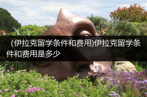 （伊拉克留学条件和费用)伊拉克留学条件和费用是多少
