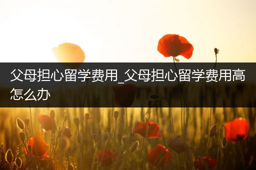 父母担心留学费用_父母担心留学费用高怎么办