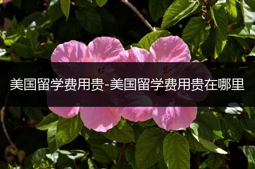 美国留学费用贵-美国留学费用贵在哪里