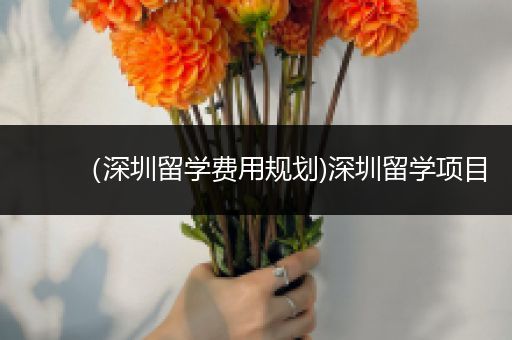 （深圳留学费用规划)深圳留学项目