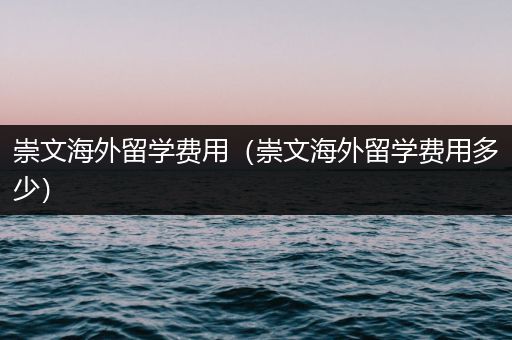 崇文海外留学费用（崇文海外留学费用多少）