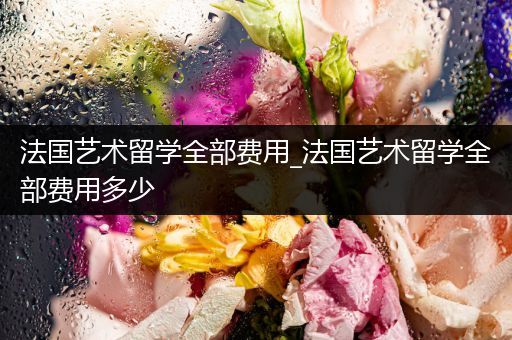 法国艺术留学全部费用_法国艺术留学全部费用多少