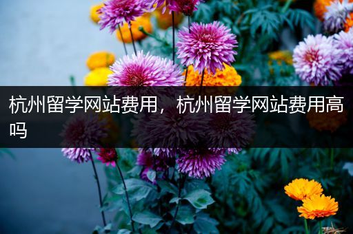 杭州留学网站费用，杭州留学网站费用高吗