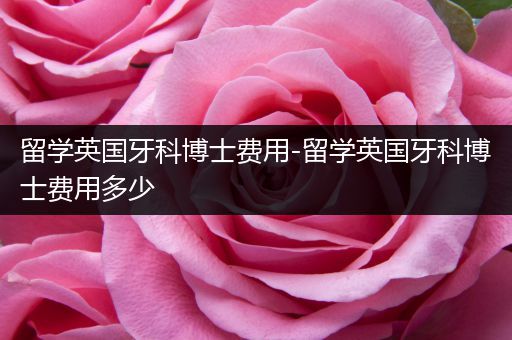 留学英国牙科博士费用-留学英国牙科博士费用多少
