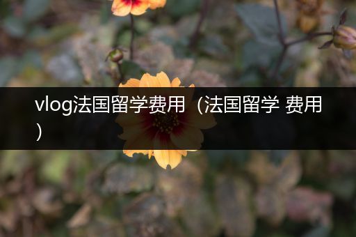 vlog法国留学费用（法国留学 费用）